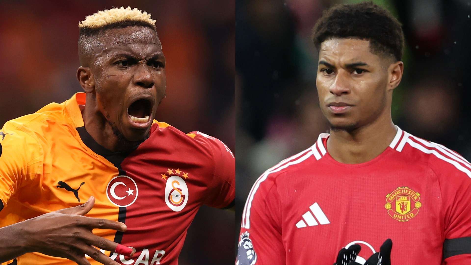 与执行力 与执行力